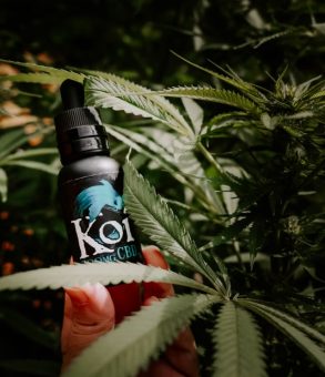 medical-marijuana-blog-img-8